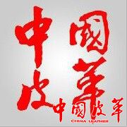 中国皮革logo.jpg